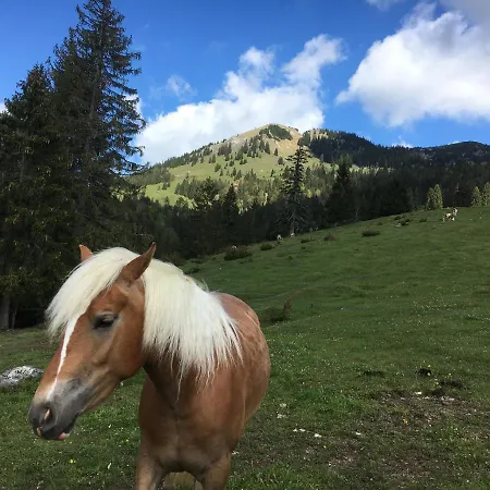 Διαμέρισμα Renata Bayrischzell
