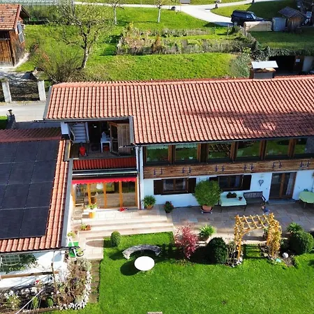 Apartment Renata
