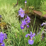 Renata Apartman Bayrischzell