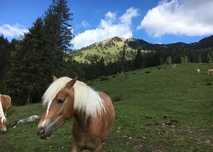 Διαμέρισμα Renata Bayrischzell